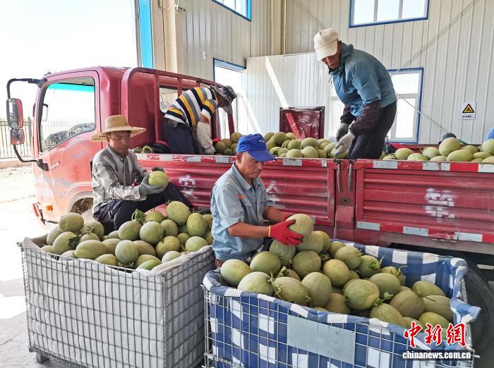 无码人妻少妇色欲AV一区二区