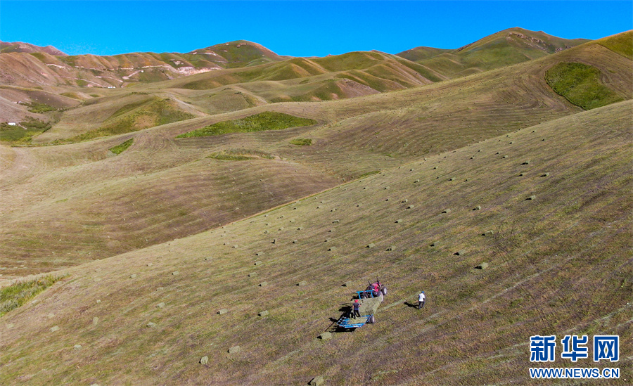 无码人妻少妇色欲AV一区二区