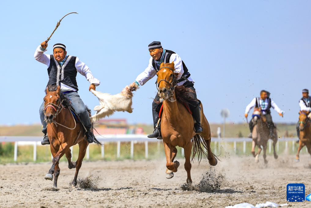 无码人妻少妇色欲AV一区二区