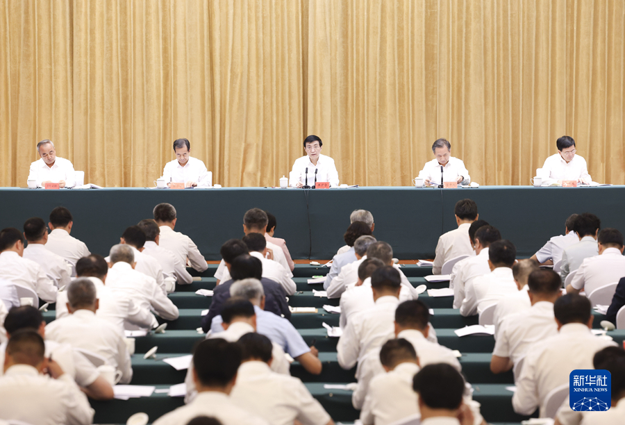 无码人妻少妇色欲AV一区二区