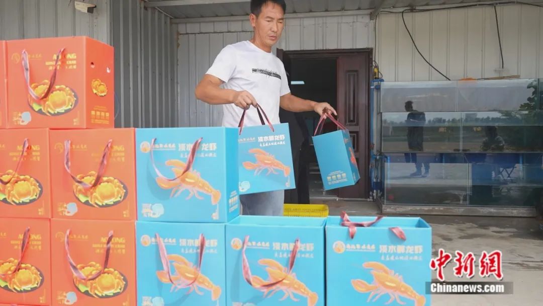 无码人妻少妇色欲AV一区二区