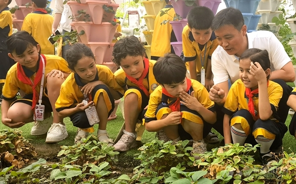 无码人妻少妇色欲AV一区二区