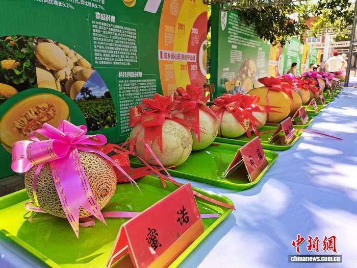 无码人妻少妇色欲AV一区二区