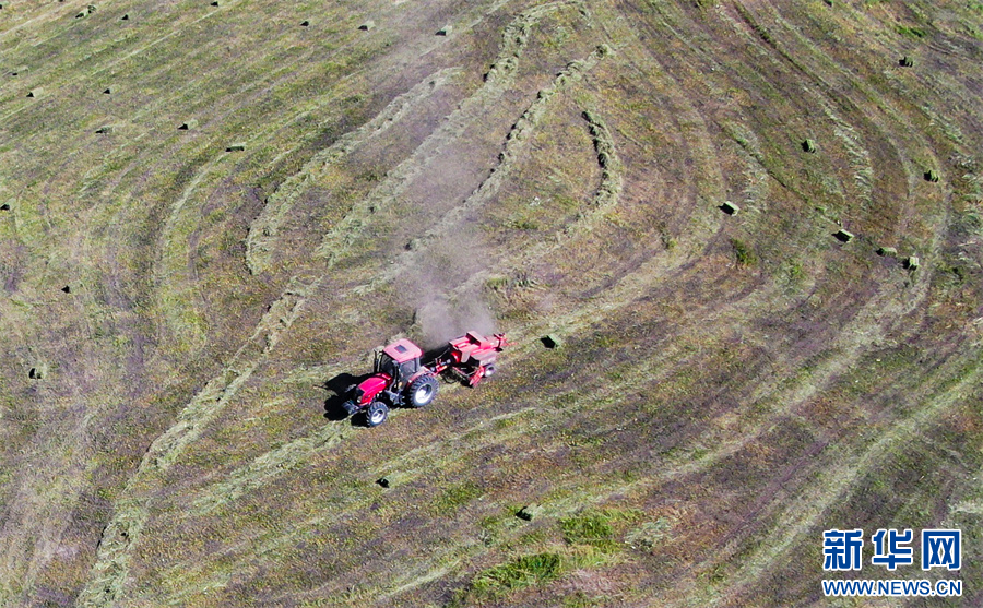无码人妻少妇色欲AV一区二区
