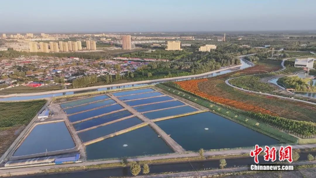 无码人妻少妇色欲AV一区二区