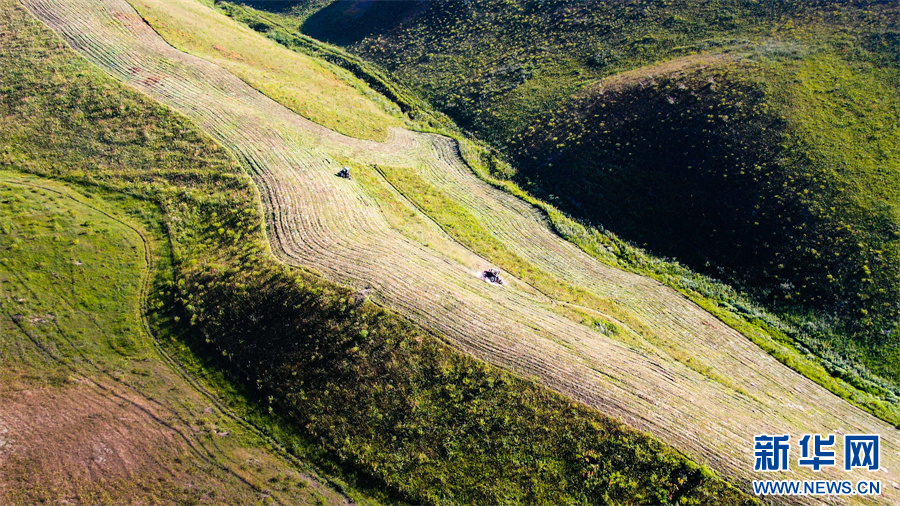无码人妻少妇色欲AV一区二区