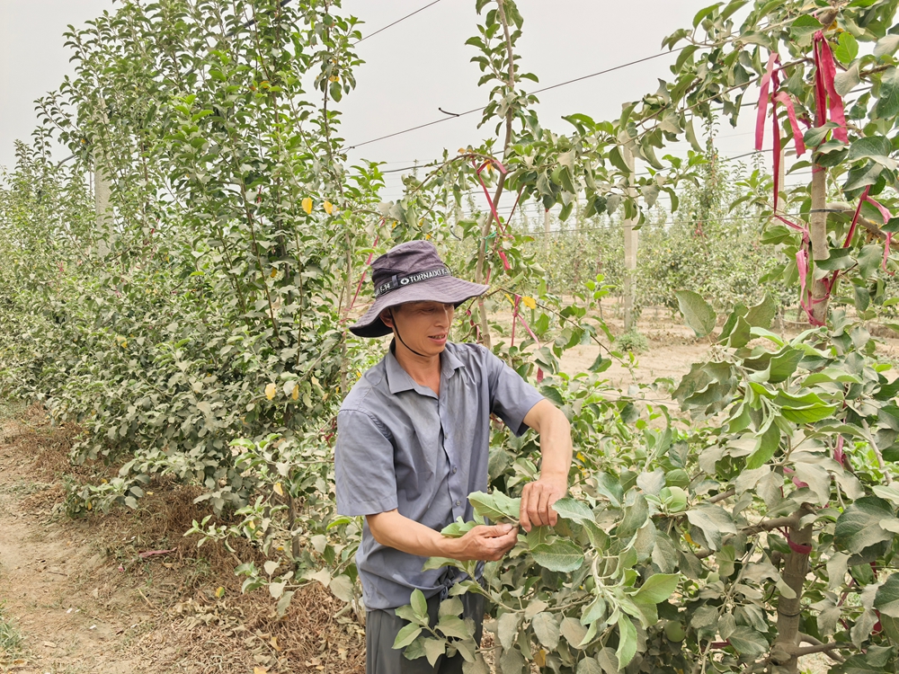 无码人妻少妇色欲AV一区二区