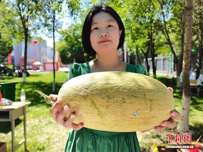 无码人妻少妇色欲AV一区二区