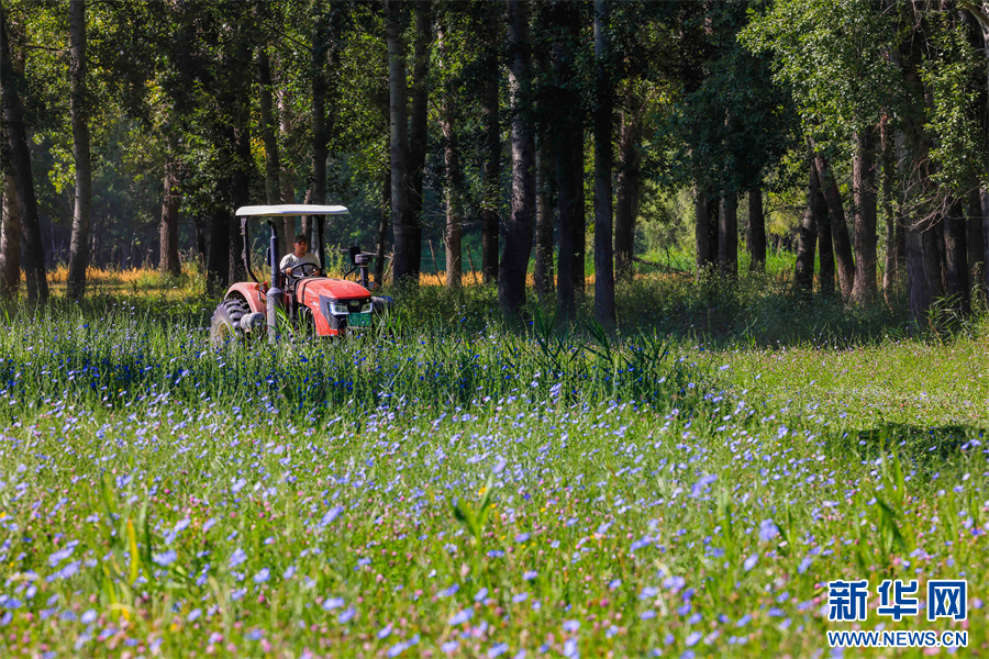 无码人妻少妇色欲AV一区二区