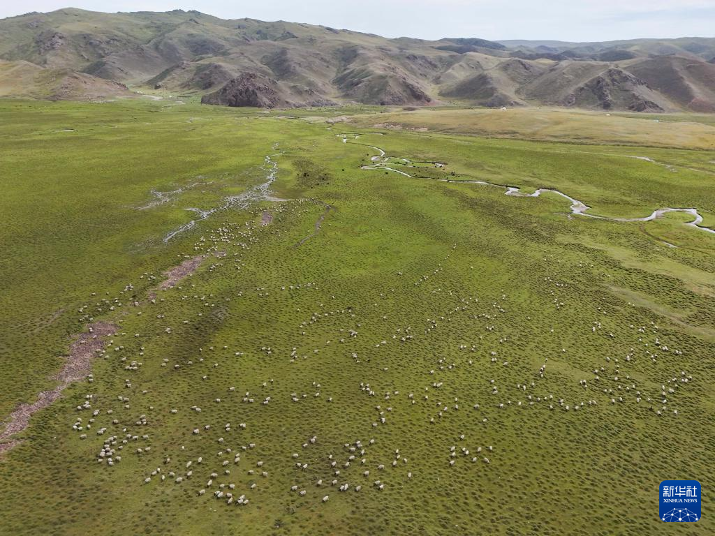 无码人妻少妇色欲AV一区二区