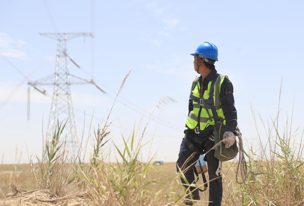 无码人妻少妇色欲AV一区二区