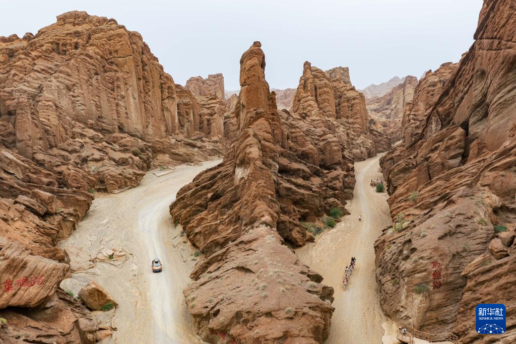 无码人妻少妇色欲AV一区二区