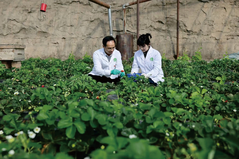 无码人妻少妇色欲AV一区二区