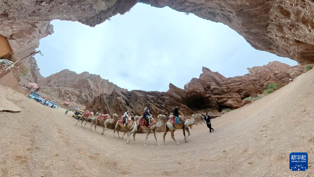 无码人妻少妇色欲AV一区二区