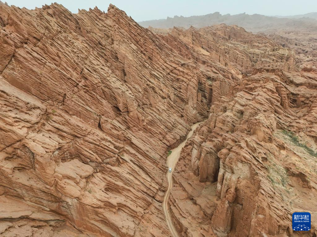 无码人妻少妇色欲AV一区二区