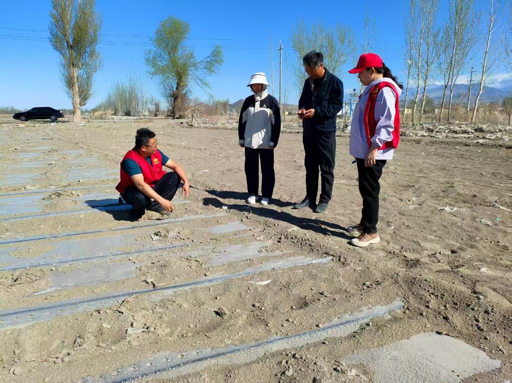 无码人妻少妇色欲AV一区二区