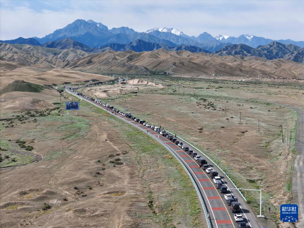 无码人妻少妇色欲AV一区二区