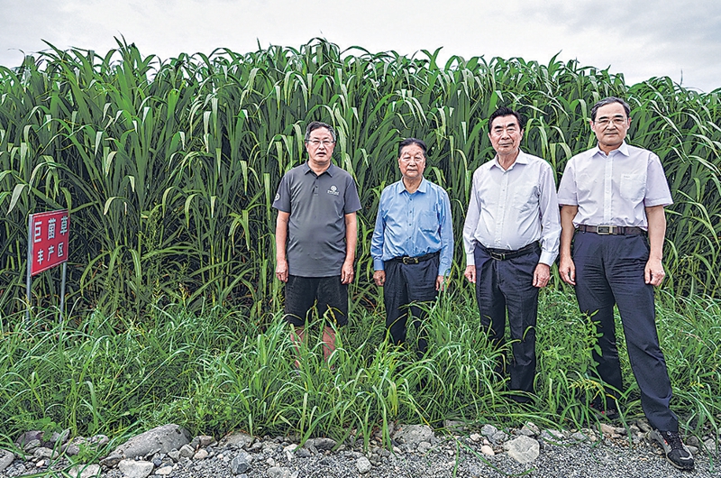 无码人妻少妇色欲AV一区二区