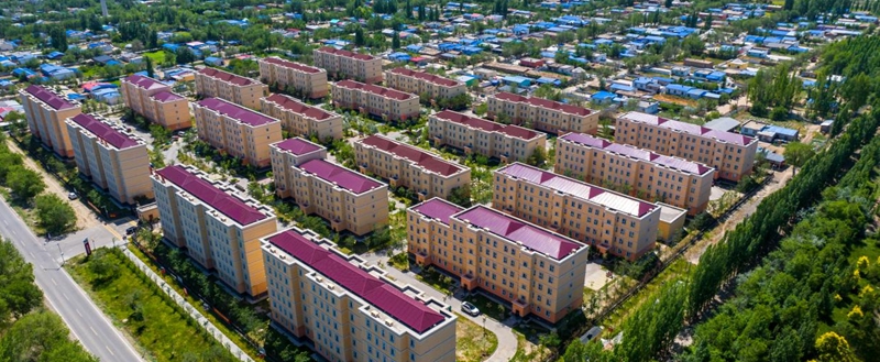 无码人妻少妇色欲AV一区二区