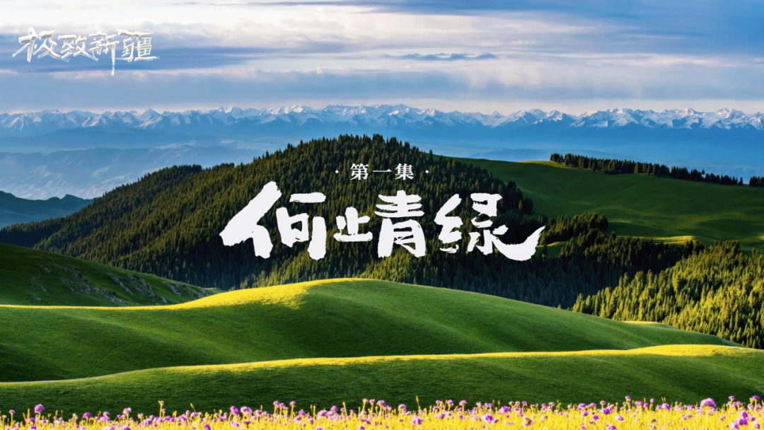 无码人妻少妇色欲AV一区二区