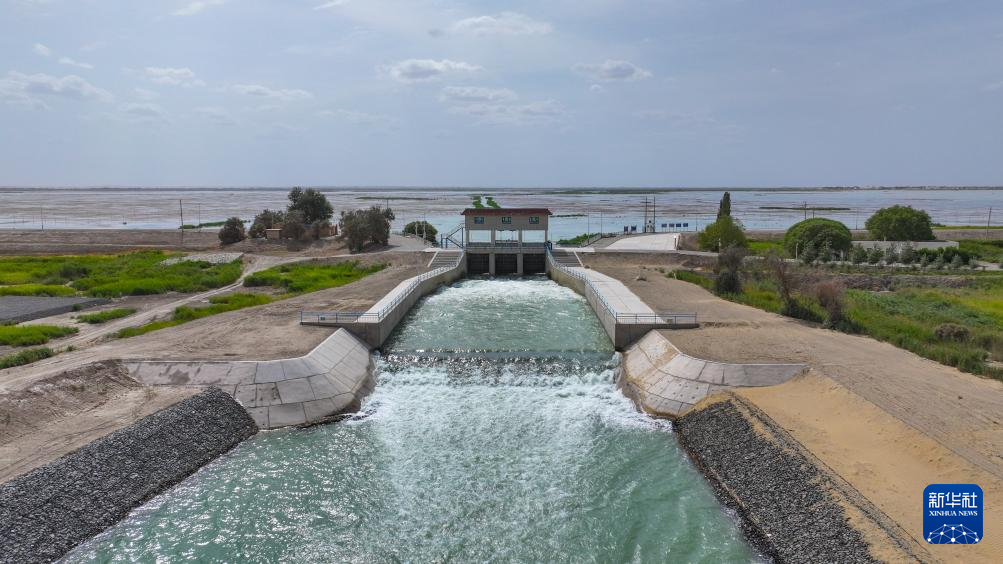 无码人妻少妇色欲AV一区二区