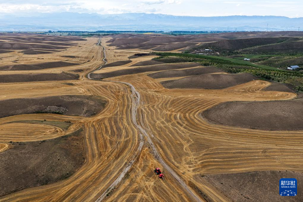 无码人妻少妇色欲AV一区二区