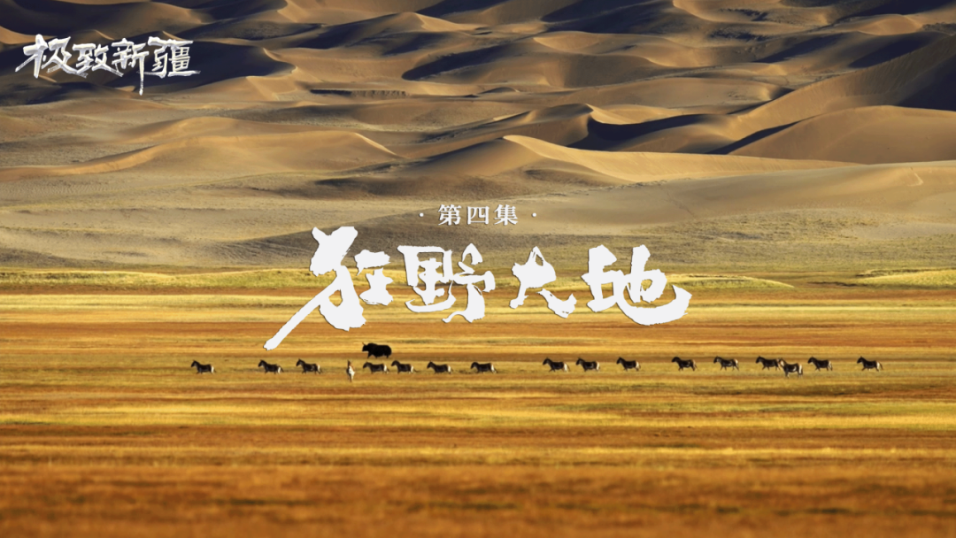 无码人妻少妇色欲AV一区二区