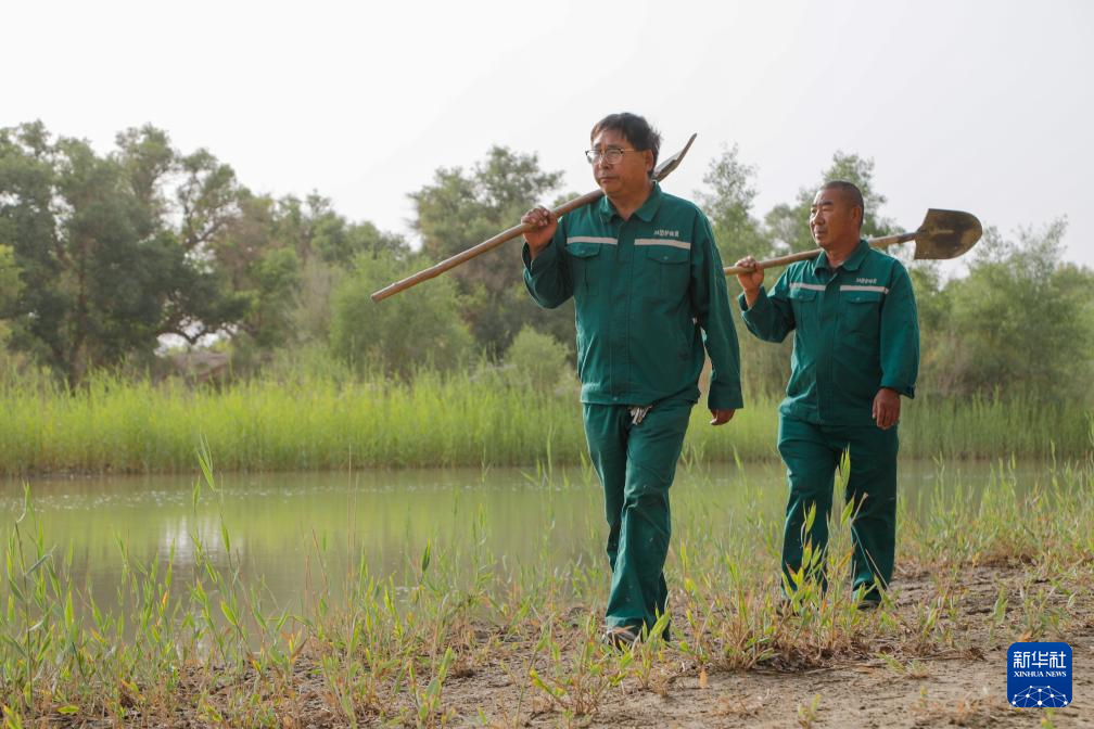 无码人妻少妇色欲AV一区二区