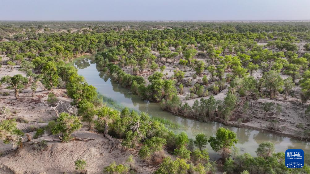 无码人妻少妇色欲AV一区二区