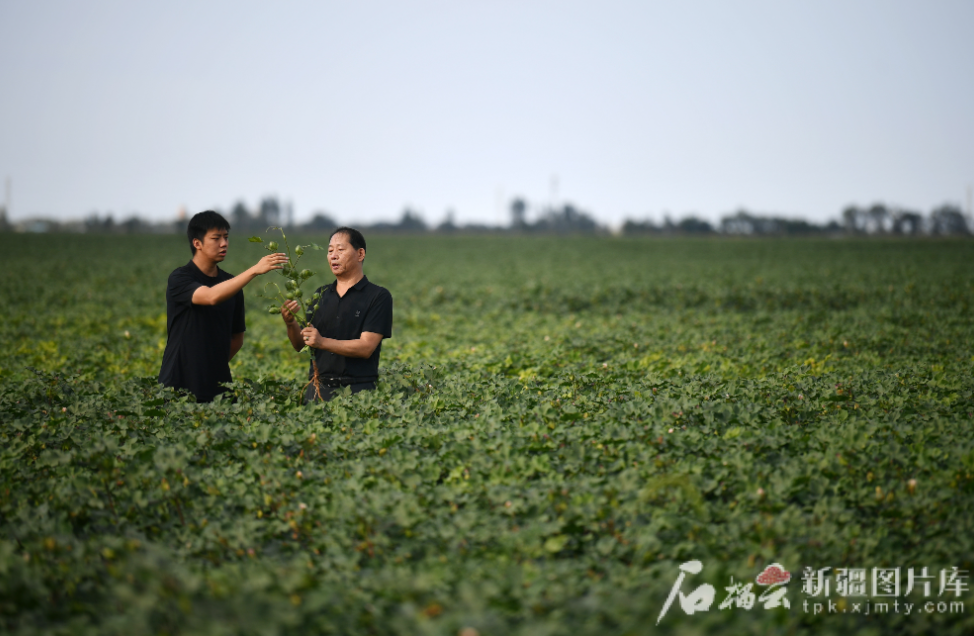 无码人妻少妇色欲AV一区二区