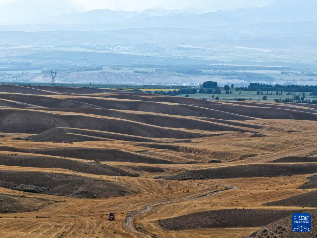 无码人妻少妇色欲AV一区二区