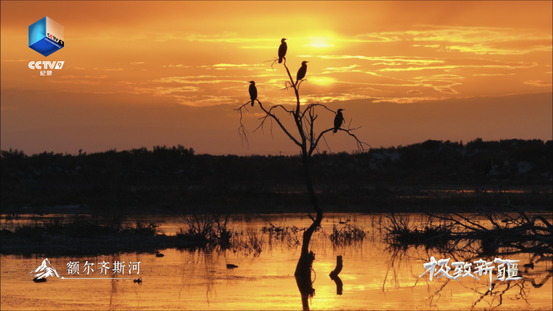 无码人妻少妇色欲AV一区二区