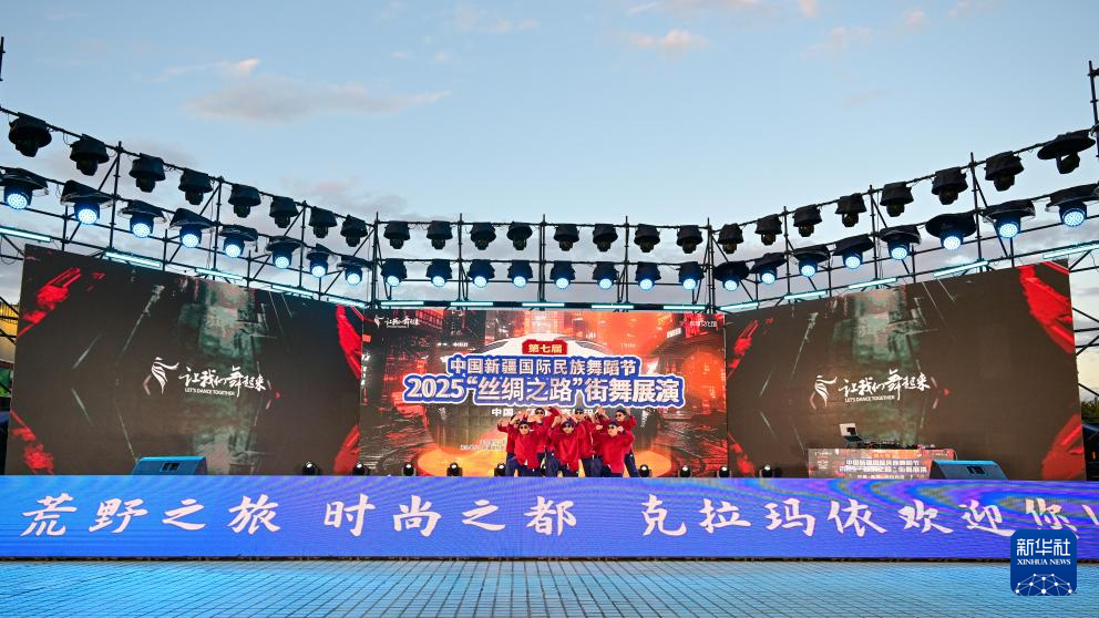 无码人妻少妇色欲AV一区二区