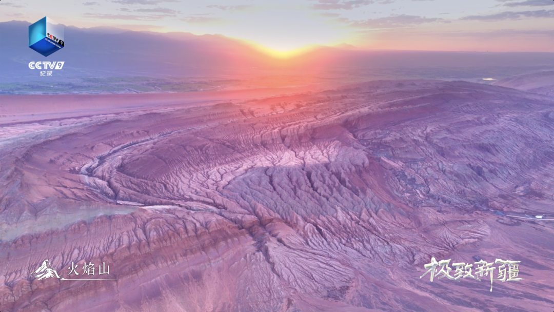 无码人妻少妇色欲AV一区二区