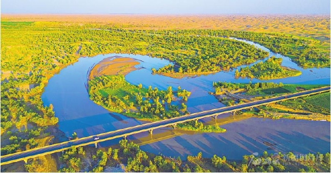 无码人妻少妇色欲AV一区二区