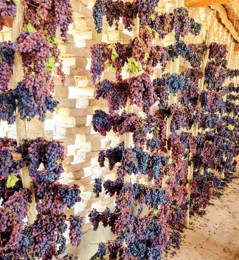 无码人妻少妇色欲AV一区二区