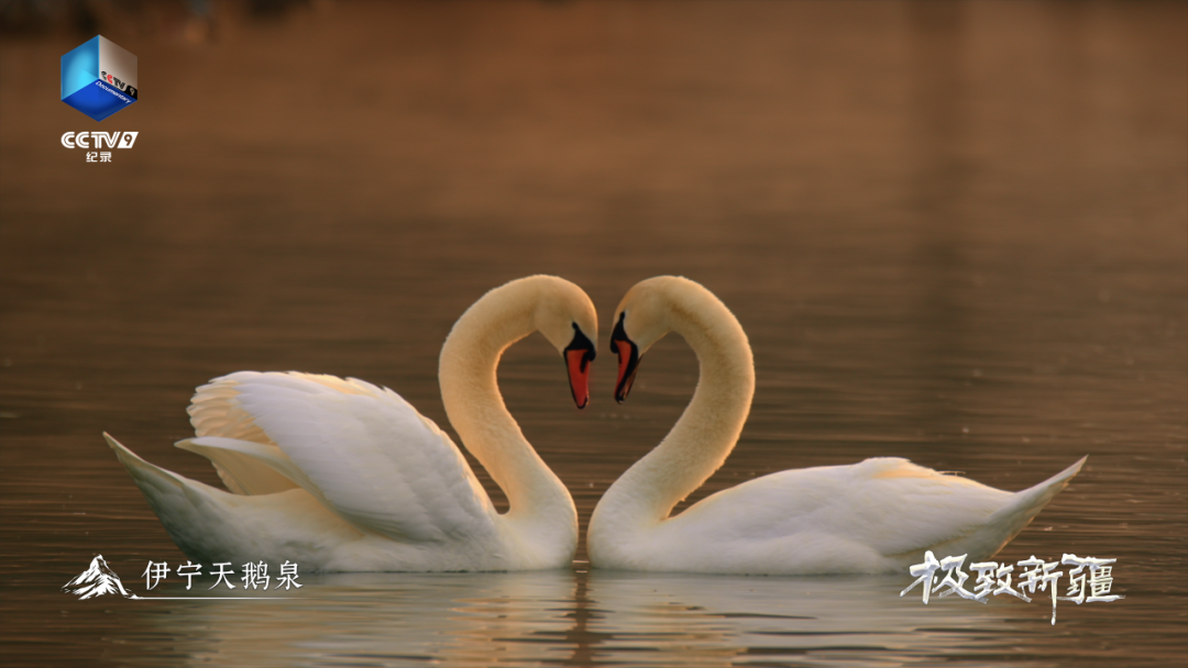 无码人妻少妇色欲AV一区二区