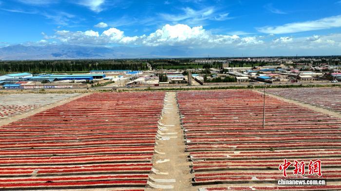 无码人妻少妇色欲AV一区二区