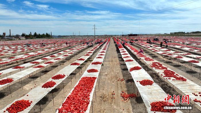 无码人妻少妇色欲AV一区二区