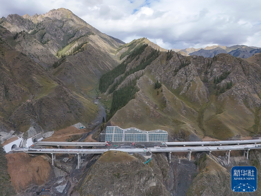 无码人妻少妇色欲AV一区二区