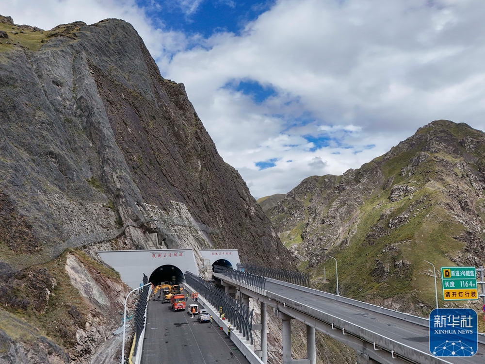 无码人妻少妇色欲AV一区二区