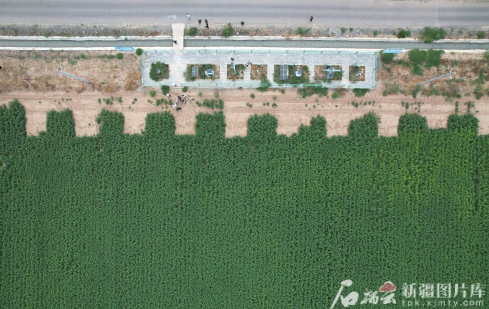 无码人妻少妇色欲AV一区二区