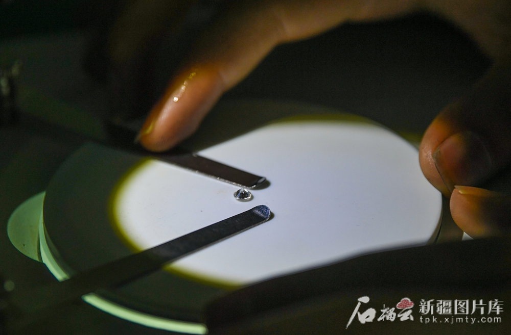 无码人妻少妇色欲AV一区二区