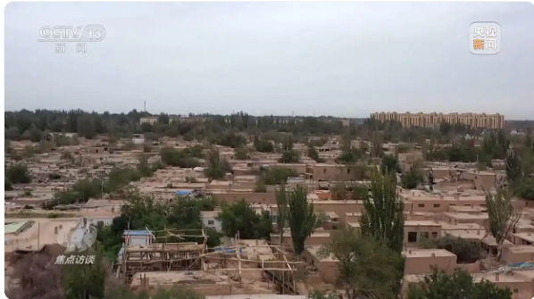 无码人妻少妇色欲AV一区二区