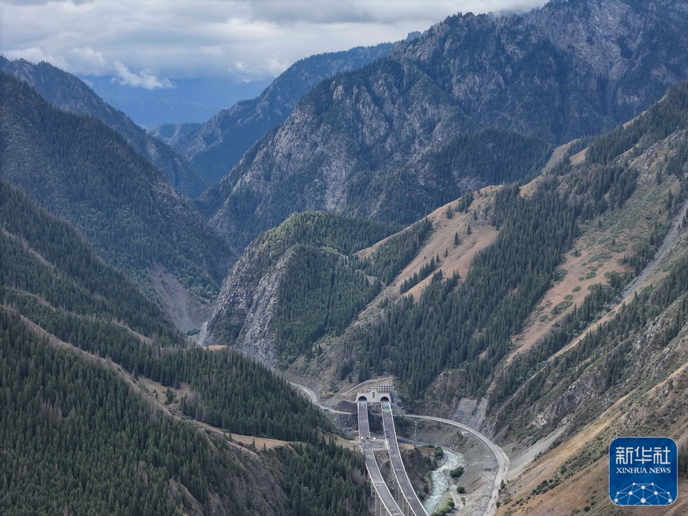 无码人妻少妇色欲AV一区二区