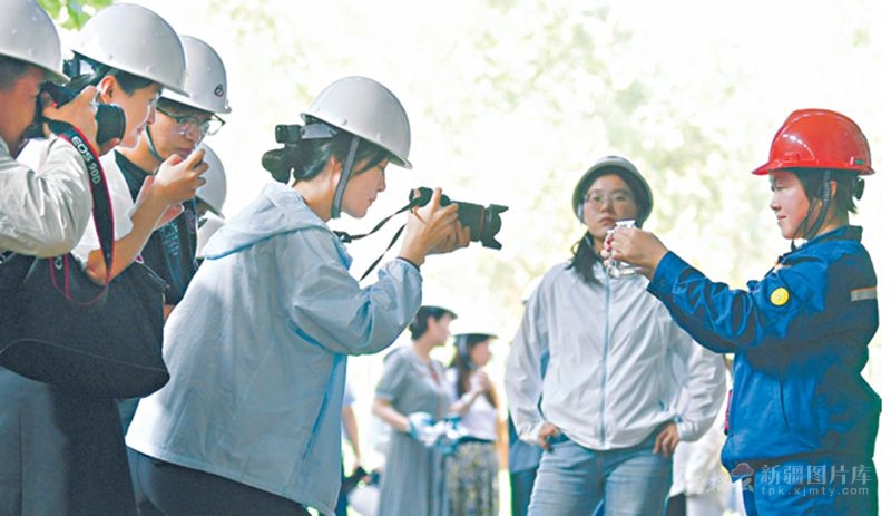 无码人妻少妇色欲AV一区二区