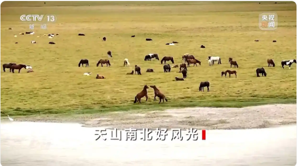 无码人妻少妇色欲AV一区二区