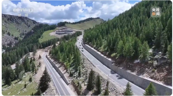 无码人妻少妇色欲AV一区二区