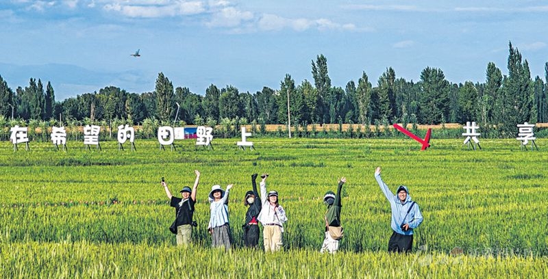 无码人妻少妇色欲AV一区二区