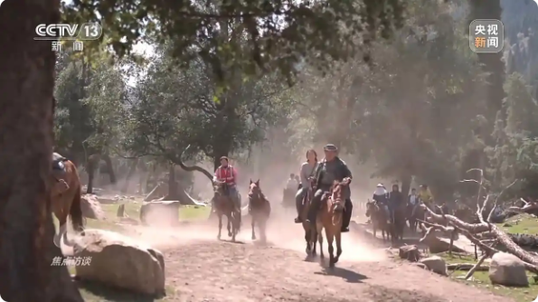 无码人妻少妇色欲AV一区二区